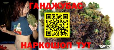 альфа пвп Новокубанск