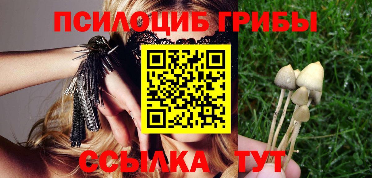 Псилоцибиновые грибы прущие грибы  Вход с VPN  Псилоцибиновые грибы прущие грибы  Электросталь 