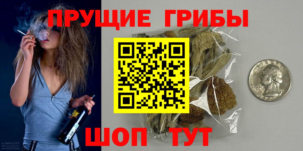 Галлюциногенные грибы Psilocybe Электросталь