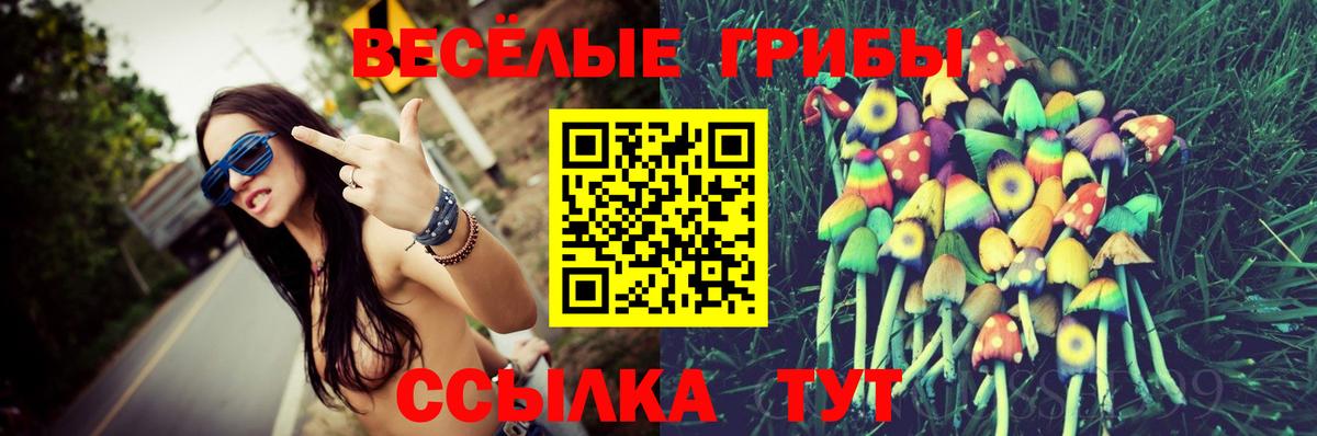 Псилоцибиновые грибы Psilocybe Электросталь